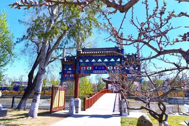 校创新竞争力排行榜——北京京西学校九游会J9京领2025中国国际学(图13)