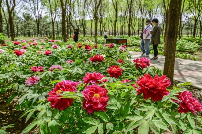 心-2：三大+书市+特色小镇打卡文旅新地标j9九游会真人第一品牌120小时玩转副中(图3)