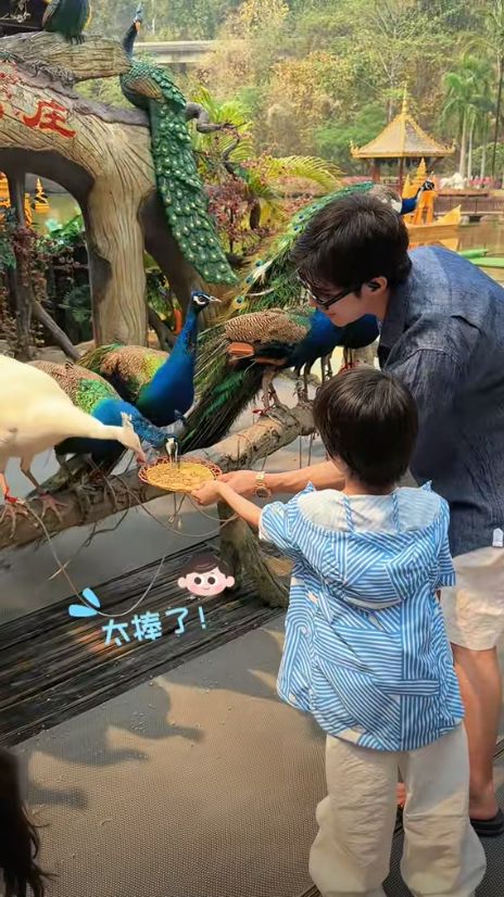 麦迪娜穿泳装美呆了4岁女儿颜值真的高J9国际集团姜潮一家人在云南旅游！(图5)